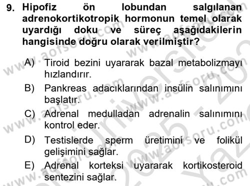 Temel Veteriner Biyokimya Dersi 2025 - 2026 Yılı Yaz Okulu Sınav Soruları 9. Soru