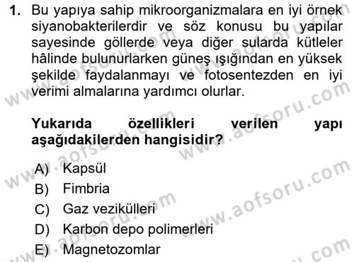 Genel Mikrobiyoloji Dersi 2024 - 2025 Yılı (Vize) Ara Sınav Soruları 1. Soru