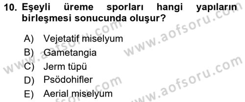Genel Mikrobiyoloji Dersi 2024 - 2025 Yılı (Vize) Ara Sınav Soruları 10. Soru