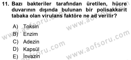 Genel Mikrobiyoloji Dersi 2024 - 2025 Yılı (Vize) Ara Sınav Soruları 11. Soru