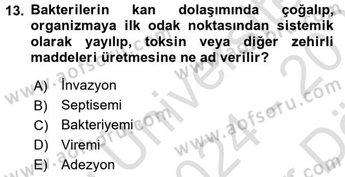 Genel Mikrobiyoloji Dersi 2024 - 2025 Yılı (Vize) Ara Sınav Soruları 13. Soru