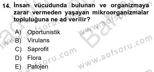 Genel Mikrobiyoloji Dersi 2024 - 2025 Yılı (Vize) Ara Sınav Soruları 14. Soru