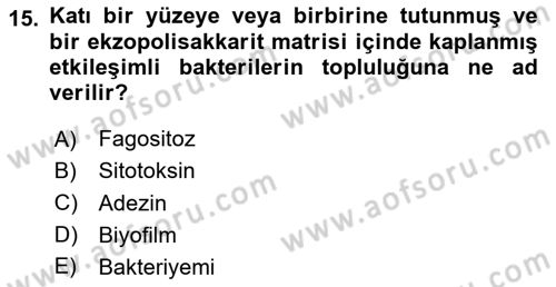 Genel Mikrobiyoloji Dersi 2024 - 2025 Yılı (Vize) Ara Sınav Soruları 15. Soru