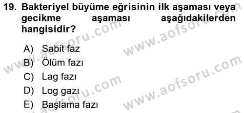 Genel Mikrobiyoloji Dersi 2024 - 2025 Yılı (Vize) Ara Sınav Soruları 19. Soru