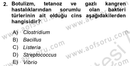 Genel Mikrobiyoloji Dersi 2024 - 2025 Yılı (Vize) Ara Sınav Soruları 2. Soru