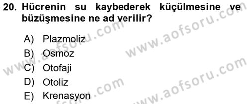 Genel Mikrobiyoloji Dersi 2024 - 2025 Yılı (Vize) Ara Sınav Soruları 20. Soru