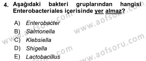 Genel Mikrobiyoloji Dersi 2024 - 2025 Yılı (Vize) Ara Sınav Soruları 4. Soru