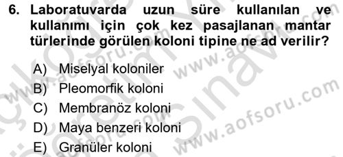 Genel Mikrobiyoloji Dersi 2024 - 2025 Yılı (Vize) Ara Sınav Soruları 6. Soru