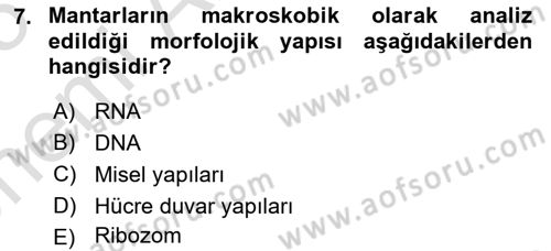 Genel Mikrobiyoloji Dersi 2024 - 2025 Yılı (Vize) Ara Sınav Soruları 7. Soru