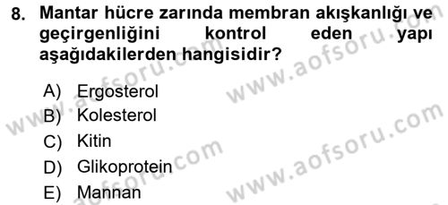 Genel Mikrobiyoloji Dersi 2024 - 2025 Yılı (Vize) Ara Sınav Soruları 8. Soru