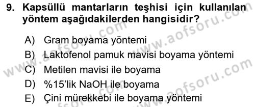 Genel Mikrobiyoloji Dersi 2024 - 2025 Yılı (Vize) Ara Sınav Soruları 9. Soru