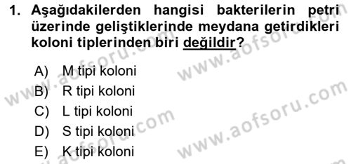 Genel Mikrobiyoloji Dersi 2024 - 2025 Yılı (Final) Dönem Sonu Sınav Soruları 1. Soru