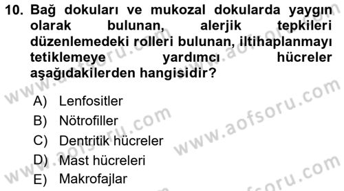 Genel Mikrobiyoloji Dersi 2024 - 2025 Yılı (Final) Dönem Sonu Sınav Soruları 10. Soru