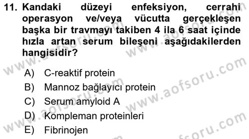 Genel Mikrobiyoloji Dersi 2024 - 2025 Yılı (Final) Dönem Sonu Sınav Soruları 11. Soru