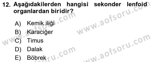 Genel Mikrobiyoloji Dersi 2024 - 2025 Yılı (Final) Dönem Sonu Sınav Soruları 12. Soru