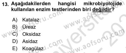 Genel Mikrobiyoloji Dersi 2024 - 2025 Yılı (Final) Dönem Sonu Sınav Soruları 13. Soru