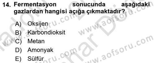 Genel Mikrobiyoloji Dersi 2024 - 2025 Yılı (Final) Dönem Sonu Sınav Soruları 14. Soru