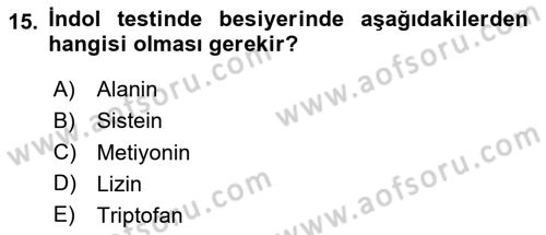 Genel Mikrobiyoloji Dersi 2024 - 2025 Yılı (Final) Dönem Sonu Sınav Soruları 15. Soru