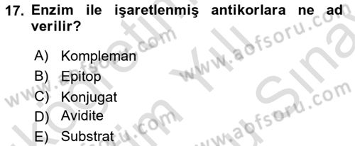 Genel Mikrobiyoloji Dersi 2024 - 2025 Yılı (Final) Dönem Sonu Sınav Soruları 17. Soru