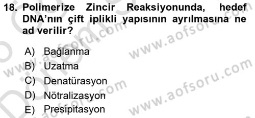 Genel Mikrobiyoloji Dersi 2024 - 2025 Yılı (Final) Dönem Sonu Sınav Soruları 18. Soru
