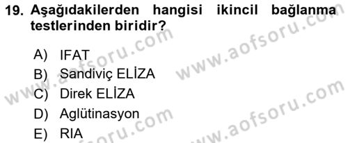 Genel Mikrobiyoloji Dersi 2024 - 2025 Yılı (Final) Dönem Sonu Sınav Soruları 19. Soru
