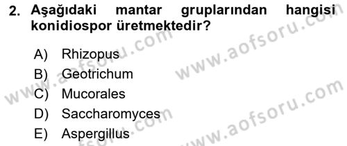 Genel Mikrobiyoloji Dersi 2024 - 2025 Yılı (Final) Dönem Sonu Sınav Soruları 2. Soru