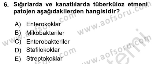 Genel Mikrobiyoloji Dersi 2024 - 2025 Yılı (Final) Dönem Sonu Sınav Soruları 6. Soru