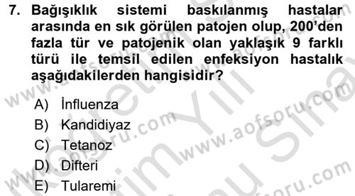 Genel Mikrobiyoloji Dersi 2024 - 2025 Yılı (Final) Dönem Sonu Sınav Soruları 7. Soru