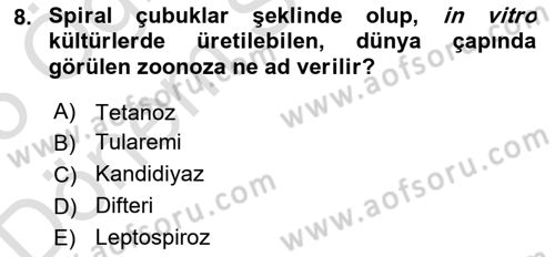 Genel Mikrobiyoloji Dersi 2024 - 2025 Yılı (Final) Dönem Sonu Sınav Soruları 8. Soru
