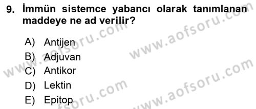 Genel Mikrobiyoloji Dersi 2024 - 2025 Yılı (Final) Dönem Sonu Sınav Soruları 9. Soru