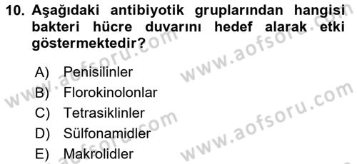 Genel Mikrobiyoloji Dersi 2024 - 2025 Yılı Yaz Okulu Sınav Soruları 10. Soru