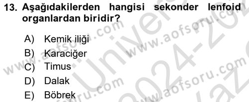 Genel Mikrobiyoloji Dersi 2024 - 2025 Yılı Yaz Okulu Sınav Soruları 13. Soru