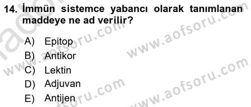 Genel Mikrobiyoloji Dersi 2024 - 2025 Yılı Yaz Okulu Sınav Soruları 14. Soru
