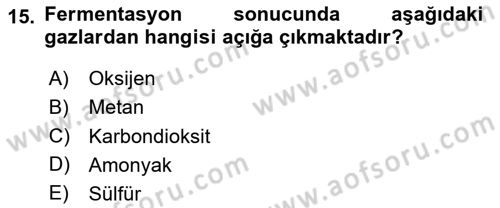 Genel Mikrobiyoloji Dersi 2024 - 2025 Yılı Yaz Okulu Sınav Soruları 15. Soru