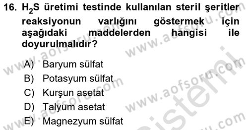 Genel Mikrobiyoloji Dersi 2024 - 2025 Yılı Yaz Okulu Sınav Soruları 16. Soru