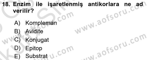 Genel Mikrobiyoloji Dersi 2024 - 2025 Yılı Yaz Okulu Sınav Soruları 18. Soru