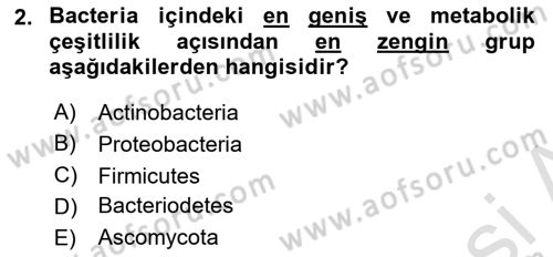 Genel Mikrobiyoloji Dersi 2024 - 2025 Yılı Yaz Okulu Sınav Soruları 2. Soru