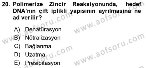 Genel Mikrobiyoloji Dersi 2024 - 2025 Yılı Yaz Okulu Sınav Soruları 20. Soru