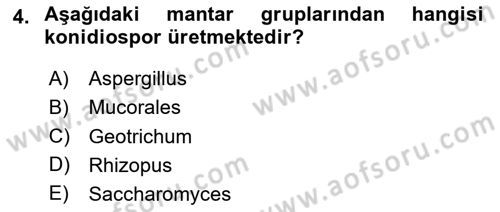 Genel Mikrobiyoloji Dersi 2024 - 2025 Yılı Yaz Okulu Sınav Soruları 4. Soru