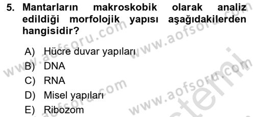 Genel Mikrobiyoloji Dersi 2024 - 2025 Yılı Yaz Okulu Sınav Soruları 5. Soru