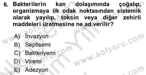 Genel Mikrobiyoloji Dersi 2024 - 2025 Yılı Yaz Okulu Sınav Soruları 6. Soru