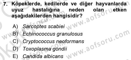 Genel Mikrobiyoloji Dersi 2024 - 2025 Yılı Yaz Okulu Sınav Soruları 7. Soru