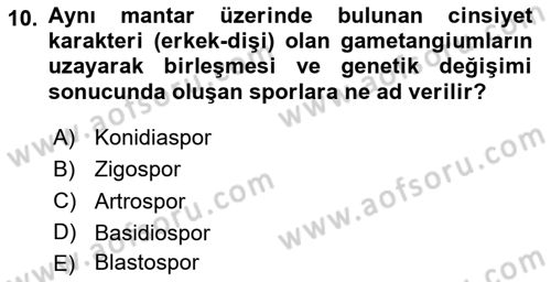 Genel Mikrobiyoloji Dersi 2025 - 2026 Yılı (Vize) Ara Sınav Soruları 10. Soru