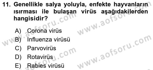 Genel Mikrobiyoloji Dersi 2025 - 2026 Yılı (Vize) Ara Sınav Soruları 11. Soru