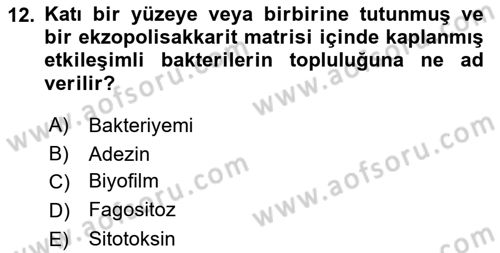 Genel Mikrobiyoloji Dersi 2025 - 2026 Yılı (Vize) Ara Sınav Soruları 12. Soru