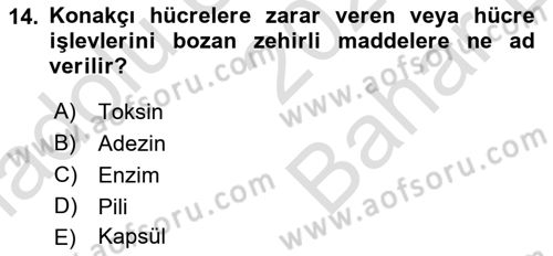 Genel Mikrobiyoloji Dersi 2025 - 2026 Yılı (Vize) Ara Sınav Soruları 14. Soru