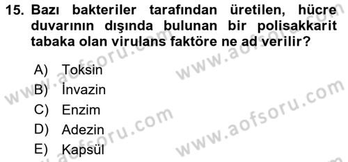 Genel Mikrobiyoloji Dersi 2025 - 2026 Yılı (Vize) Ara Sınav Soruları 15. Soru