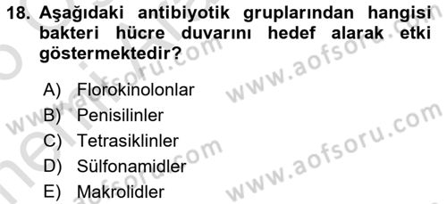 Genel Mikrobiyoloji Dersi 2025 - 2026 Yılı (Vize) Ara Sınav Soruları 18. Soru