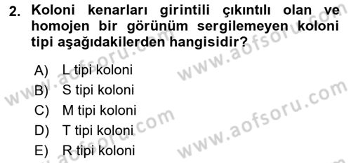Genel Mikrobiyoloji Dersi 2025 - 2026 Yılı (Vize) Ara Sınav Soruları 2. Soru