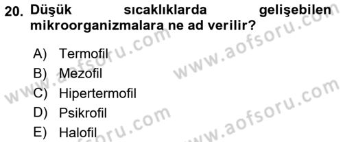 Genel Mikrobiyoloji Dersi 2025 - 2026 Yılı (Vize) Ara Sınav Soruları 20. Soru